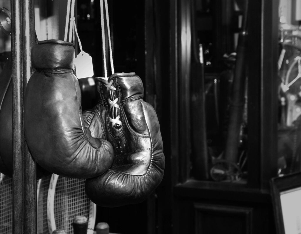 Leather Boxing Gloves Hanging